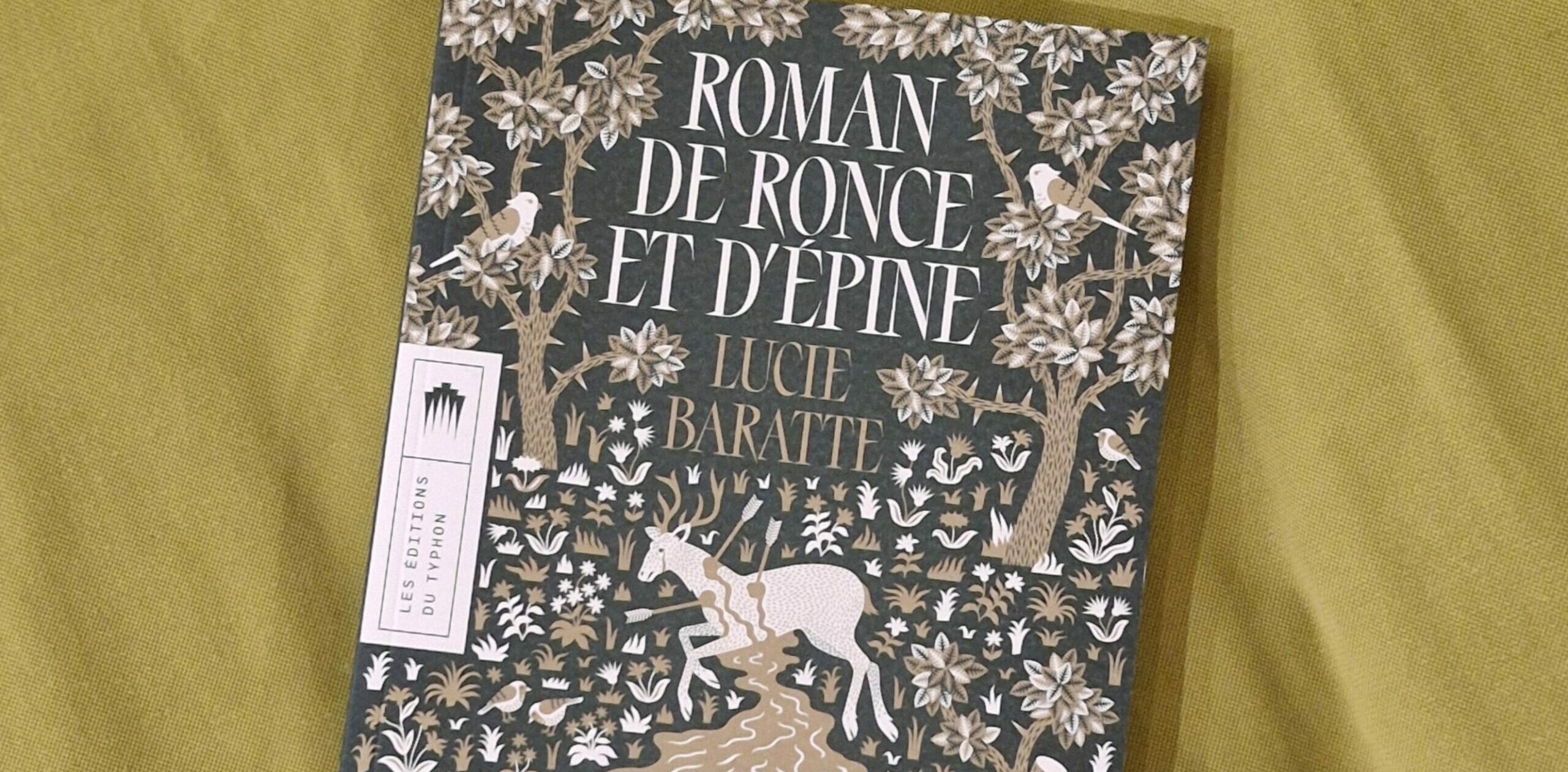 Roman de Ronce et d'Epine de Lucie Baratte (2024)