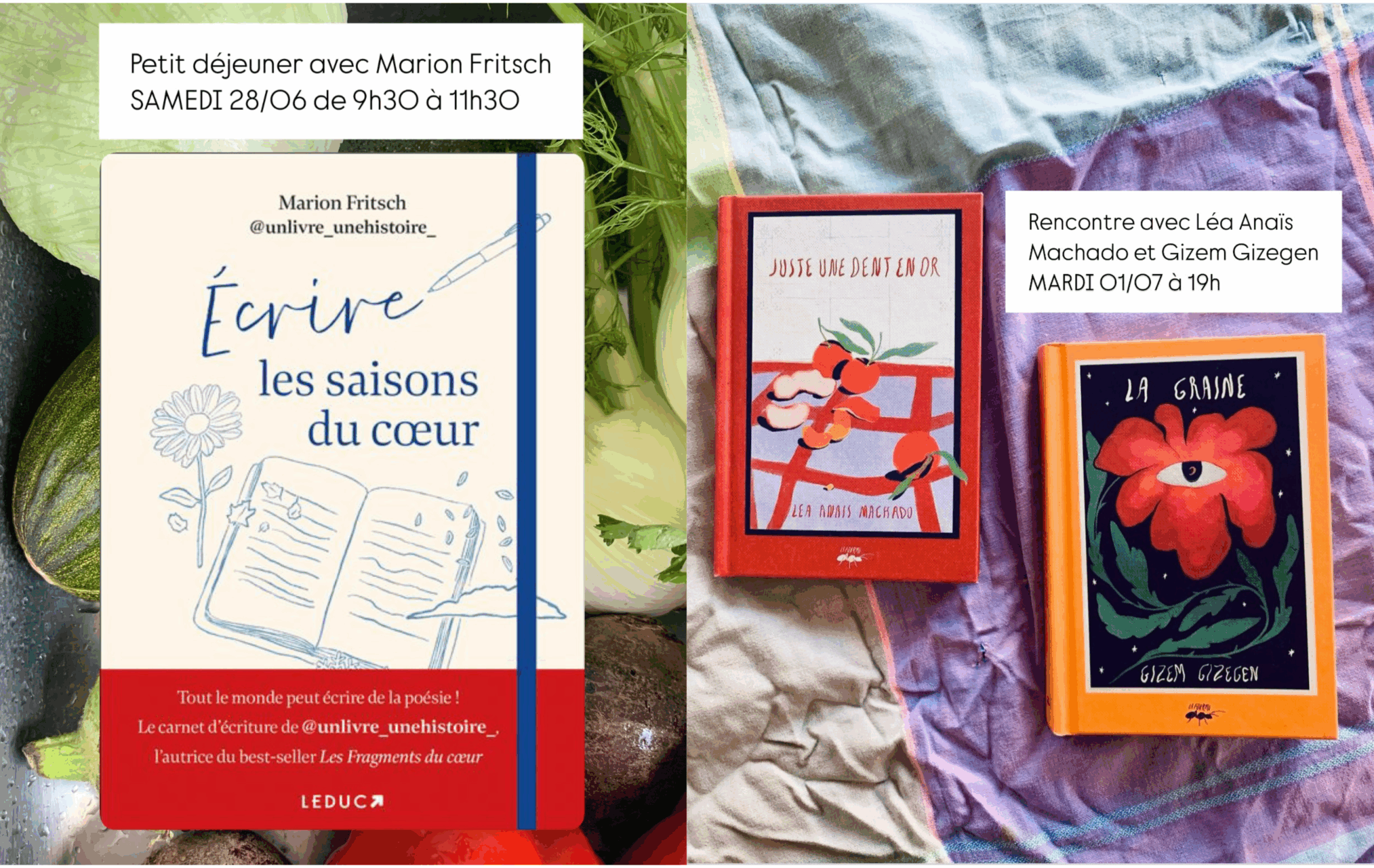 Programme juillet 2025