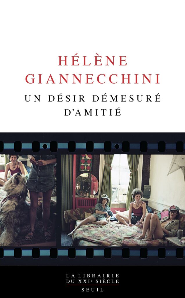 Un désir démesuré d'amitié d'Hélène Giannechini